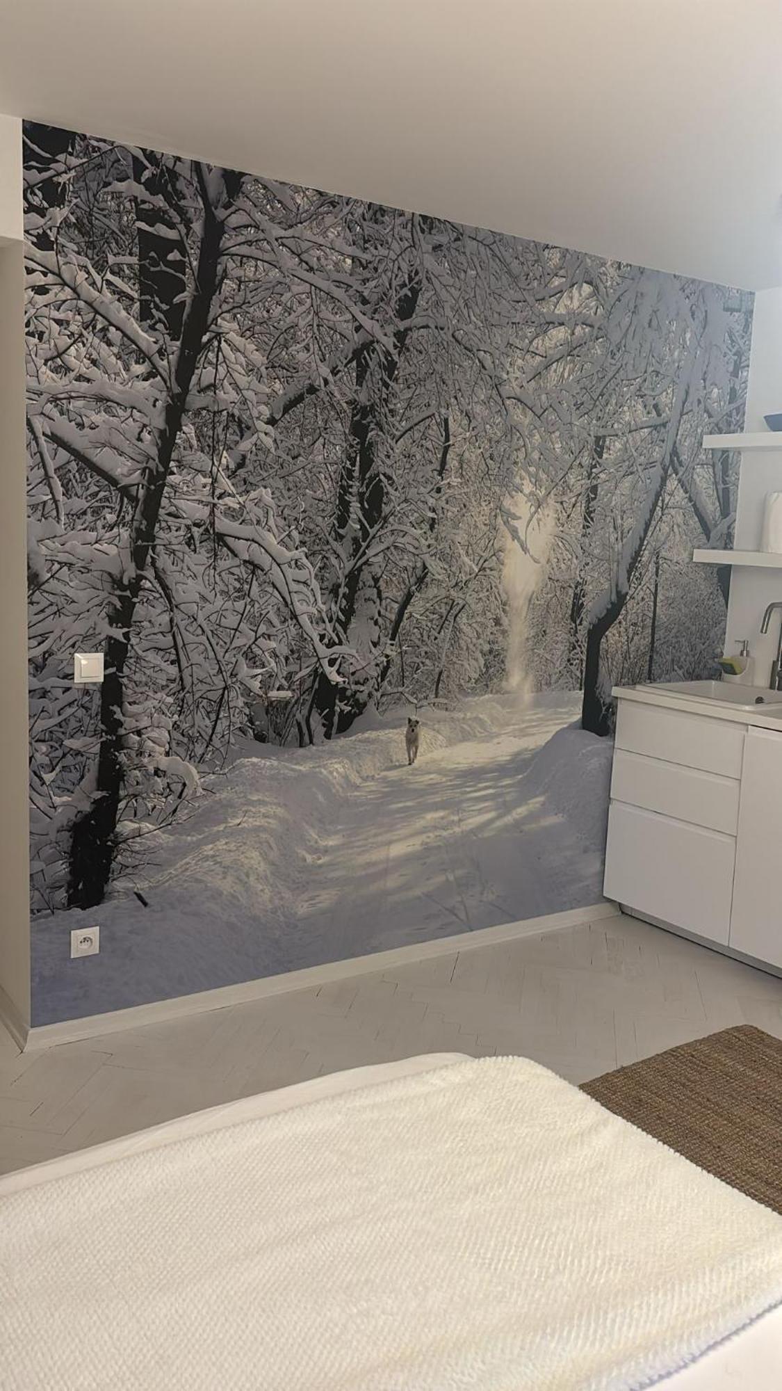 Four Seasons Old Town - Winter Apartment Varşovia Exterior foto