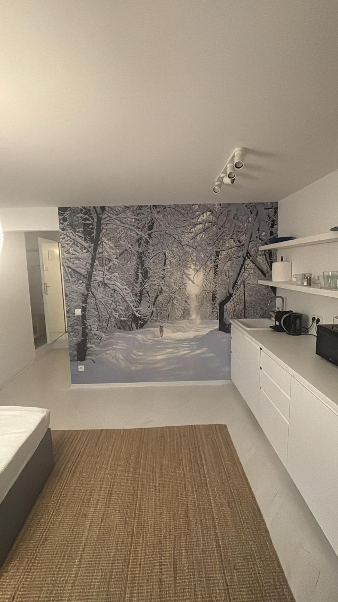 Four Seasons Old Town - Winter Apartment Varşovia Exterior foto
